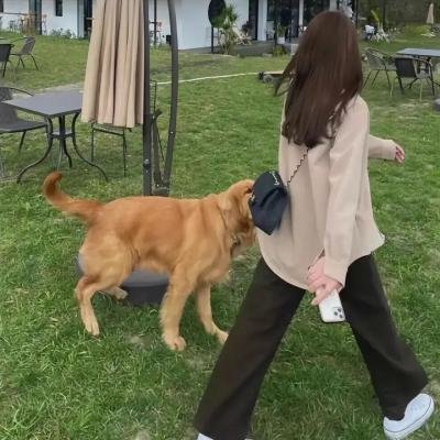 英谈女人
